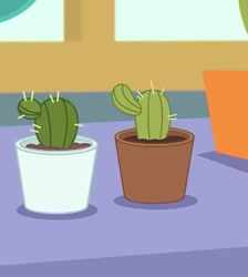 Size: 411x458 | Tagged: safe, screencap, better together, equestria girls, my little shop of horrors, cactus, cropped, plant, potted plant