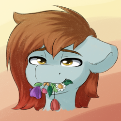 Size: 1000x1000 | Tagged: safe, artist:spirit-dude, oc, oc only, oc:spirit rose, pony, abstract background, bust, ear fluff, eating, female, floppy ears, flower, flower in mouth, lidded eyes, mare, mouth hold, portrait, solo