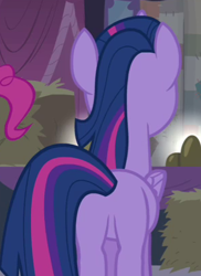 Size: 298x409 | Tagged: safe, screencap, twilight sparkle, twilight sparkle (alicorn), alicorn, simple ways, cropped, plot, solo