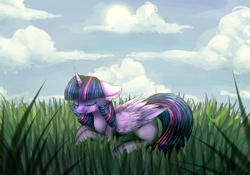 Size: 2222x1555 | Tagged: safe, artist:kilamuri, twilight sparkle, twilight sparkle (alicorn), alicorn, pony, cloud, crying, eyes closed, female, grass, lying down, mare, sad, solo