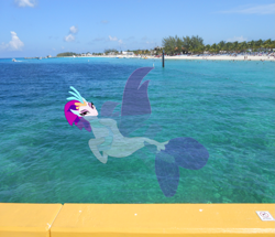 Size: 2161x1855 | Tagged: safe, artist:oceanrailroader, queen novo, seapony (g4), my little pony: the movie, beach, irl, ocean, photo, ponies in real life