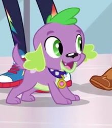 Size: 287x326 | Tagged: safe, screencap, spike, spike the regular dog, dog, better together, equestria girls, converse, cropped, male, paws, puppy, shoes, smiling, sneakers