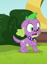 Size: 300x412 | Tagged: safe, screencap, spike, spike the regular dog, dog, equestria girls, friendship games, cropped, puppy, solo