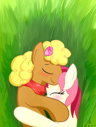 Size: 1500x2000 | Tagged: safe, artist:truffle shine, evening star, roseluck, earth pony, pony, blushing, clothes, cuddling, eveningluck, eyes closed, female, flower, flower in hair, grass, grass field, lying down, male, mare, on side, pasture, scarf, shipping, signature, stallion, straight