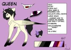 Size: 960x678 | Tagged: artist needed, safe, oc, oc only, oc:queen, alicorn, reference sheet