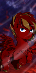 Size: 2000x4000 | Tagged: safe, artist:helgabuttercup, oc, oc only, pegasus, pony, chest fluff, hooves, male, solo, stallion