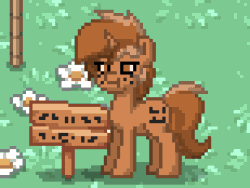 Size: 308x232 | Tagged: safe, derpibooru exclusive, screencap, oc, oc only, oc:sign, pony, unicorn, :t, animated, female, freckles, gif, glare, pony town, sitting, solo, standing, unamused