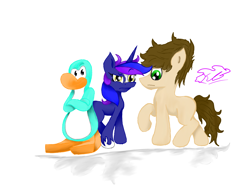 Size: 2048x1536 | Tagged: safe, artist:katyscene, artist:sneshneeorfa, artist:th3ipodm0n, oc, oc:slideswitched, earth pony, penguin, pony, unicorn, club penguin, crossover, female, male, mare, non-mlp oc, stallion