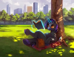 Size: 1280x982 | Tagged: safe, artist:erinliona, oc, oc only, oc:hmage, pony, unicorn, basket, book, city, dappled sunlight, day, levitation, lying, magic, male, on back, picnic, solo, summer, telekinesis, tree, tree shadow