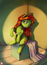 Size: 872x1200 | Tagged: safe, artist:lexx2dot0, artist:maytee, tree hugger, earth pony, pony, collaboration, female, mare, modeling, patreon, patreon logo, smiling, solo