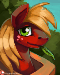 Size: 800x1000 | Tagged: safe, artist:lexx2dot0, big macintosh, earth pony, pony, freckles, looking at you, male, patreon, patreon logo, smiling, solo, stallion