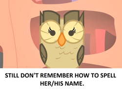 Size: 1364x1024 | Tagged: safe, edit, edited screencap, screencap, owlowiscious, owl, pony, golden oaks library, looking at you, male, solo