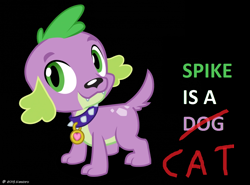 Size: 1104x816 | Tagged: safe, spike, dog, equestria girls, blatant lies, spike the dog