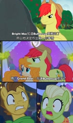 Size: 1216x2048 | Tagged: safe, edit, edited screencap, screencap, bright mac, grand pear, granny smith, pear butter, earth pony, pony, the perfect pear, caption, chinese, female, male, mare, stallion, wide eyes, young grand pear, young granny smith, younger