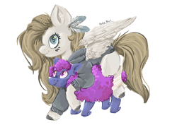 Size: 3508x2480 | Tagged: safe, artist:biskhuit, oc, oc only, oc:akaszi, pegasus, pony, clothes, ewe, female, high res, mare, simple background, transparent background