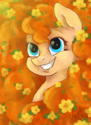 Size: 1024x1410 | Tagged: safe, artist:spacesheep-art, pear butter, earth pony, pony, the perfect pear, deviantart watermark, female, huge mane, impossibly large mane, mare, obtrusive watermark, smiling, solo, watermark
