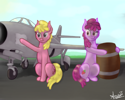 Size: 2500x2000 | Tagged: safe, artist:starlightglummer, berry punch, berryshine, cherry berry, pony, barrel, duo, duo female, female, high res, plane, yak-30