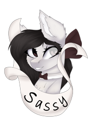 Size: 3135x4000 | Tagged: safe, artist:crazllana, oc, oc only, oc:mary, pony, banner, bow, bowtie, bust, female, hair bow, high res, mare, portrait, simple background, solo, transparent background