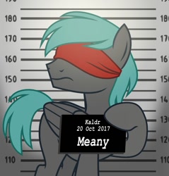 Size: 700x733 | Tagged: safe, artist:red-iska, oc, oc only, oc:discreet eye, pegasus, pony, blindfold, solo