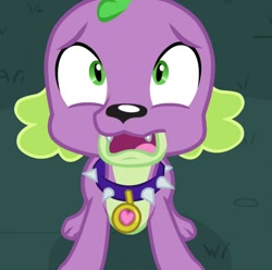 Size: 725x720 | Tagged: safe, screencap, spike, spike the regular dog, dog, equestria girls, friendship games, puppy, scared, solo