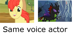 Size: 646x350 | Tagged: safe, edit, screencap, bright mac, pharynx, changeling, pony, the perfect pear, to change a changeling, 8^y, bill newton, exploitable meme, faic, meme, same voice actor, solo