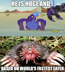 Size: 500x555 | Tagged: safe, maulwurf, mole (animal), pony, star-nosed mole, to change a changeling, changeling mega evolution, image macro, meme