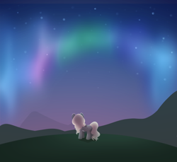 Size: 2400x2200 | Tagged: safe, artist:miioko, oc, oc only, earth pony, pony, aurora borealis, female, hill, mare, night, rear view, solo