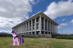 Size: 5795x3875 | Tagged: safe, artist:didgereethebrony, twilight sparkle, twilight sparkle (alicorn), alicorn, pony, canberra, digital art, irl, library, photo, ponies in real life, solo