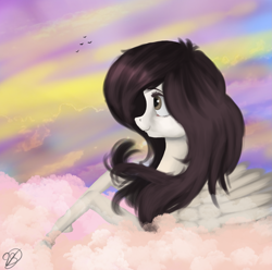 Size: 1857x1841 | Tagged: safe, artist:vinicius040598, oc, oc only, bird, pegasus, pony, cloud, commission, female, mare, solo