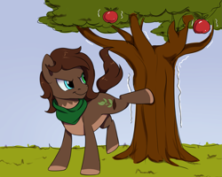 Size: 1771x1420 | Tagged: safe, artist:thebowtieone, oc, oc only, oc:rottali, earth pony, pony, apple tree, applebucking, male, solo, stallion, tree