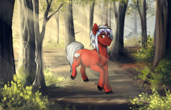 Size: 2560x1650 | Tagged: safe, artist:royvdhel-art, oc, oc only, oc:axel, earth pony, pony, commission, crepuscular rays, forest, solo