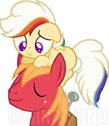 Size: 439x507 | Tagged: safe, artist:sinamuna, big macintosh, oc, oc:rocket sprint, pony, base used, canon x oc, colt, duo, magical lesbian spawn, male, next generation, nextgen:sinverse, offspring, parent:applejack, parent:rainbow dash, parents:appledash, rainbow hair, simple background, stallion, transparent background, watermark