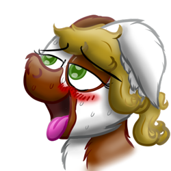 Size: 512x512 | Tagged: safe, artist:hilfigirl, oc, oc only, oc:pawprint, earth pony, pony, blushing, head, panting, relief, simple background, solo, sweat, telegram sticker, transparent background