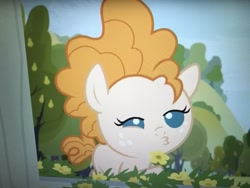 Size: 1252x939 | Tagged: safe, pear butter, earth pony, pony, the perfect pear, duckface, solo, younger