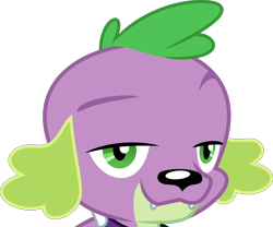 Size: 3614x3000 | Tagged: safe, artist:ambassad0r, spike, dog, equestria girls, male, simple background, smug, solo, transparent background, vector