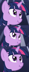 Size: 1031x2520 | Tagged: safe, edit, edited screencap, screencap, twilight sparkle, pony, unicorn, friendship is magic, female, mare, nose wrinkle, panorama, scrunchy face, solo