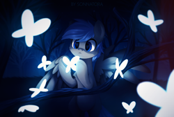 Size: 1920x1300 | Tagged: safe, artist:sonnatora, oc, oc only, oc:silver lining, butterfly, pegasus, pony, forest, male, night, solo, stallion, ych result