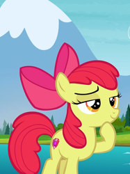 Size: 800x1072 | Tagged: safe, screencap, apple bloom, pony, marks and recreation, cute, smug, solo