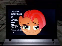 Size: 4608x3456 | Tagged: safe, babs seed, pony, babsface, female, filly, freckles, grammar error, image macro, irl, meme, photo, solo, suspicious, windows, windows 8