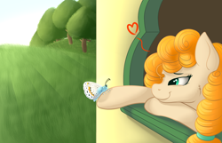 Size: 1400x900 | Tagged: safe, artist:ray-frost, pear butter, butterfly, earth pony, pony, heart, window