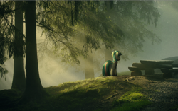 Size: 1900x1195 | Tagged: safe, twilight sparkle, pony, forest, irl, photo, ponies in real life, scenery, solo