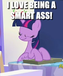 Size: 484x588 | Tagged: safe, edit, edited screencap, screencap, twilight sparkle, twilight sparkle (alicorn), alicorn, bragging, image macro, meme, purple smart, smug, smuglight sparkle, vulgar