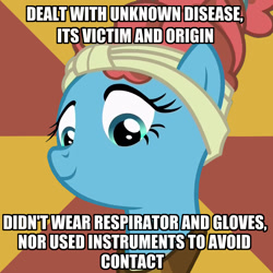 Size: 1000x1000 | Tagged: safe, artist:arzt, edit, meadowbrook, pony, a health of information, image macro, meme, solo, wrong