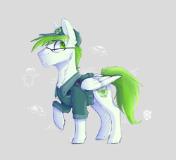 Size: 1150x1050 | Tagged: safe, artist:dino_horse, oc, oc only, oc:crime snapper, turtle, request, solo