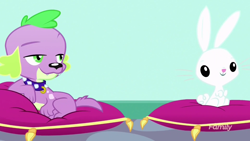 Size: 1280x720 | Tagged: safe, screencap, angel bunny, spike, spike the regular dog, dog, eqg summertime shorts, equestria girls, pet project, pillow