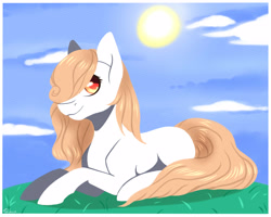 Size: 4000x3200 | Tagged: safe, artist:shkura2011, oc, oc only, earth pony, pony, female, high res, mare, prone, solo