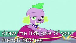 Size: 1920x1080 | Tagged: safe, edit, edited screencap, screencap, spike, spike the regular dog, dog, eqg summertime shorts, equestria girls, pet project, discovery family logo, draw me like one of your french girls, image macro, looking at you, meme, pillow, stupid sexy spike, titanic, vulgar