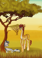 Size: 1800x2500 | Tagged: safe, artist:mailner, oc, oc only, giraffe, zebra, acacia tree, gold, savanna, tree