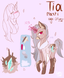 Size: 4100x4996 | Tagged: safe, artist:midnightdream123, oc, oc only, oc:tia martis, pony, unicorn, absurd resolution, clothes, female, mare, reference sheet, solo