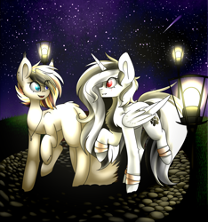 Size: 3000x3200 | Tagged: safe, artist:despotshy, oc, oc only, alicorn, earth pony, pony, female, high res, mare, night, shooting star, stars